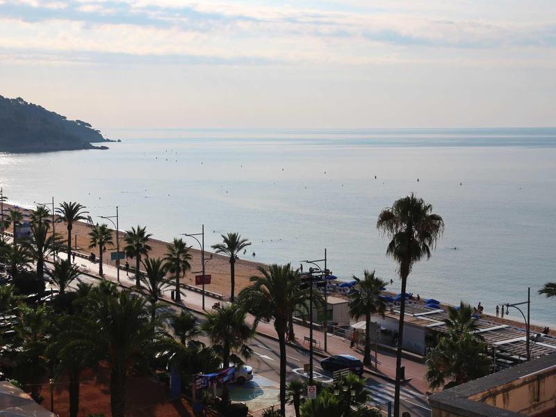 Coastal promenade with palm trees along a calm sea under a partly cloudy sky.