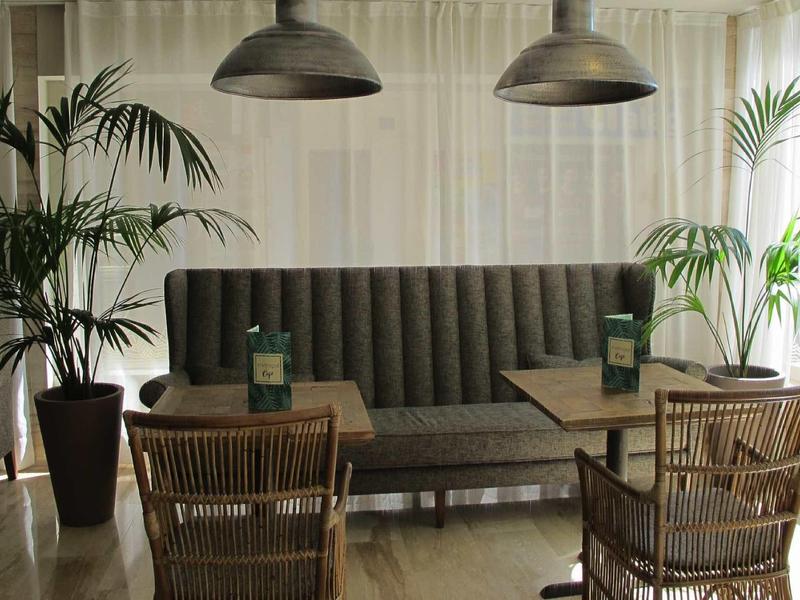 Cozy seating area with sofa, chairs, and two tables in a bright room with plants.