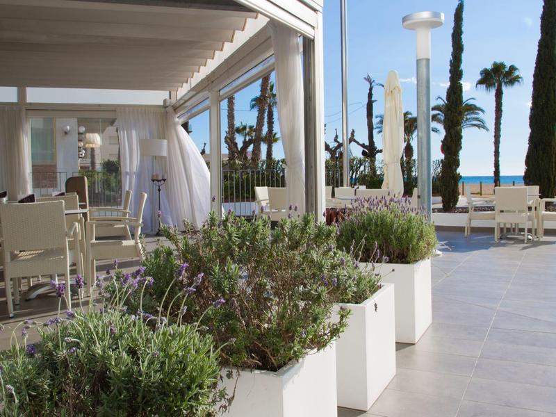 Area esterna con fioriere bianche e palme vicino all'oceano sotto un patio coperto.