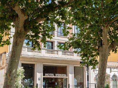 Vista de la fachada de un hotel detrás de dos grandes árboles con follaje verde denso.