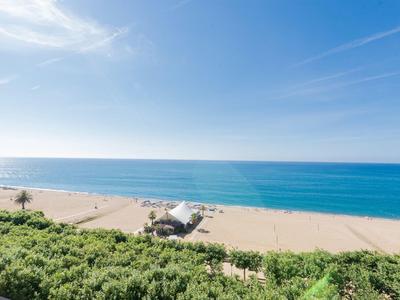 Playa con arena limpia, mar azul y cielo despejado, vista desde arriba con arbustos verdes al frente