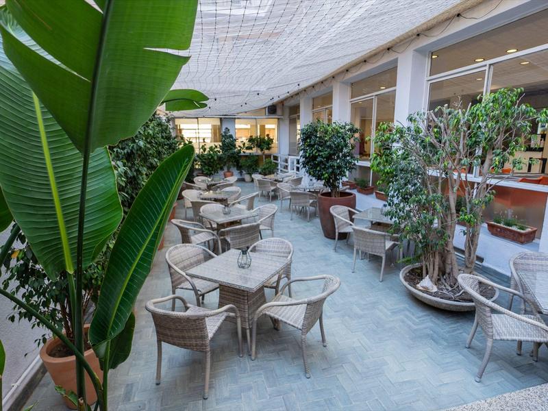 Patio interior luminoso con grupos de asientos y grandes plantas bajo un techo de cristal.