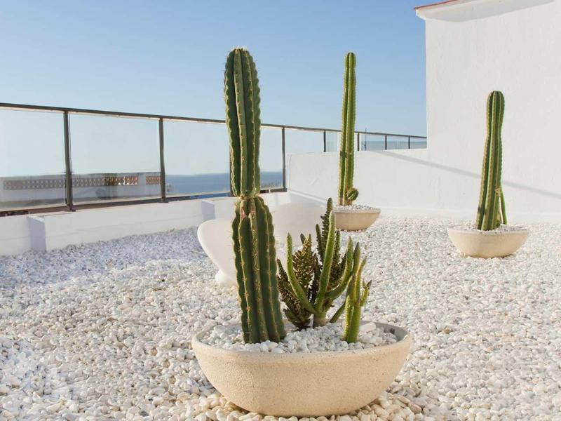 Dachterrasse mit weißem Kies, drei großen grünen Kakteen in runden Töpfen und blauem Himmel im Hintergrund.