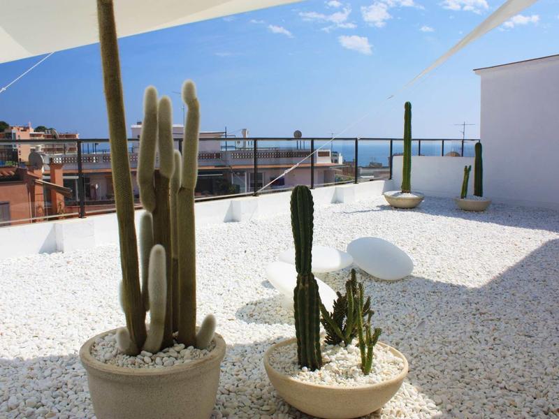 Dachterrasse mit weißen Kieseln, drei Kakteen in Töpfen und Blick auf blaue Himmel und Stadt.