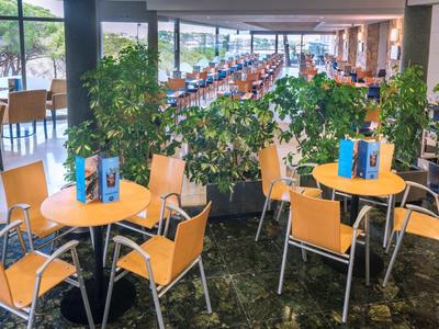 Jasna restauracja z stolikami, krzesłami i zielonymi roślinami, duże okna z widokiem na zewnątrz.