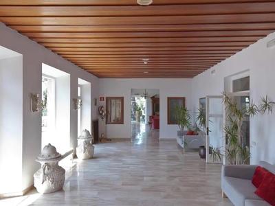 Heller Hotelflur mit Holzdecke, großen Fenstern, Sitzgelegenheiten und Pflanzen.