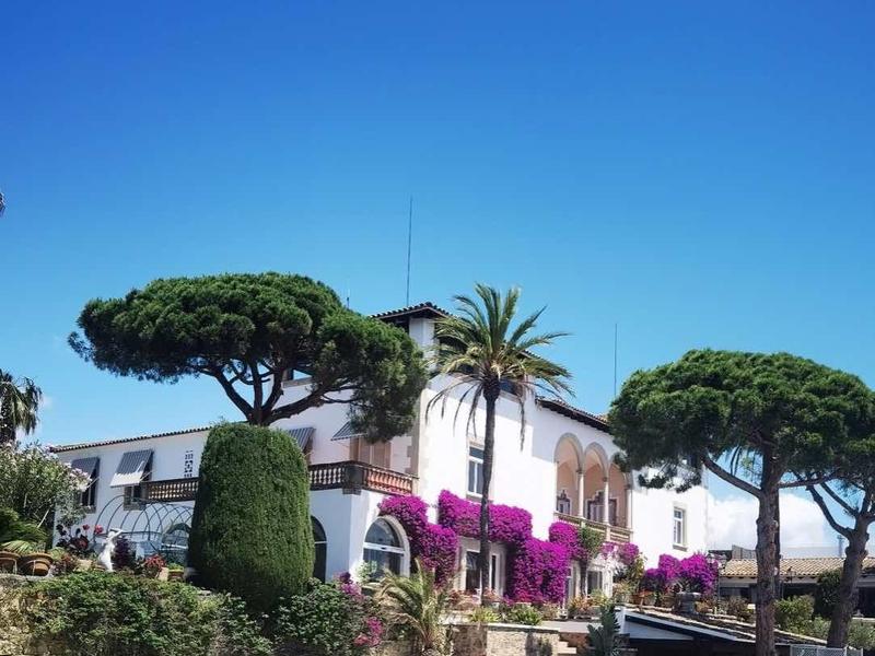 Čistý bazén před bílým hotelem s barevnými květinami a zelenými stromy pod modrou oblohou.