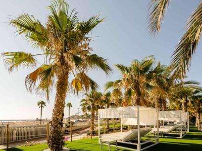 Outdoor lounge beds under palm trees on green grass by the beach with a clear sky.
