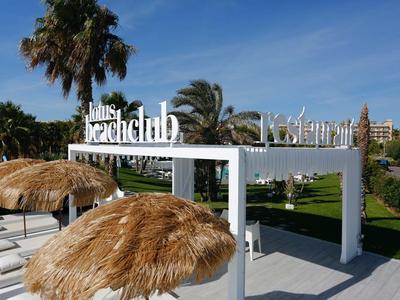 Outdoor tropical beach club entrance with palm trees and thatched umbrellas under blue sky.