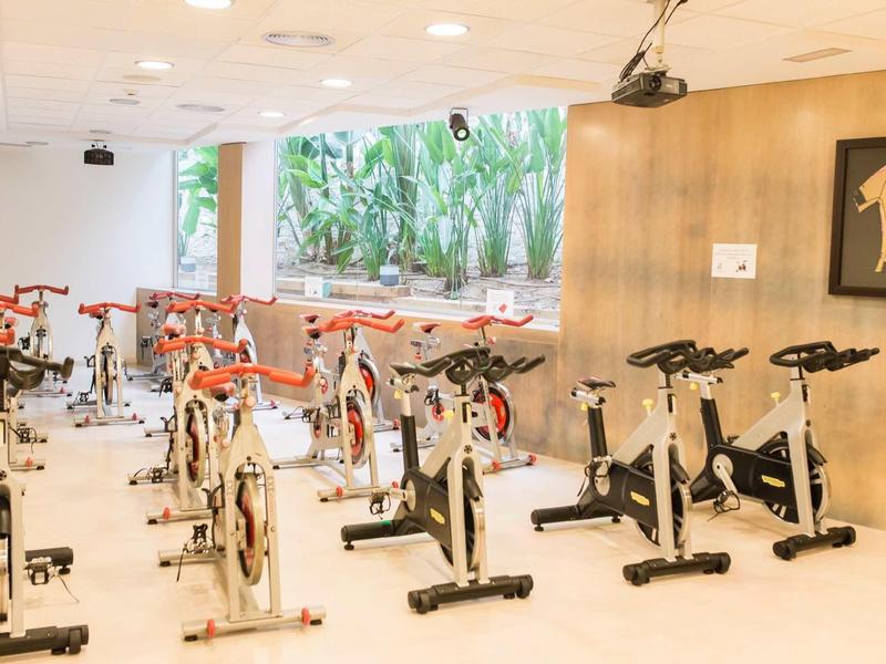 Bright indoor gym with stationary bikes lined up, wooden wall, and large window with garden view.