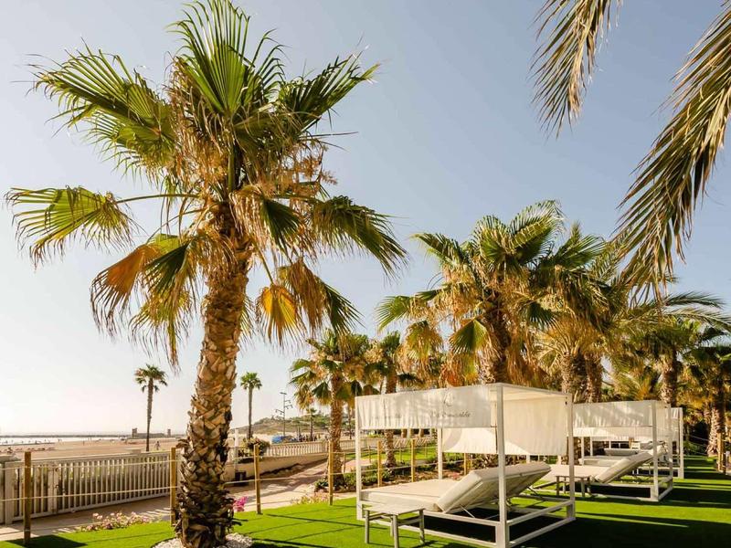 Outdoor lounge beds under palm trees on green grass by the beach with a clear sky.