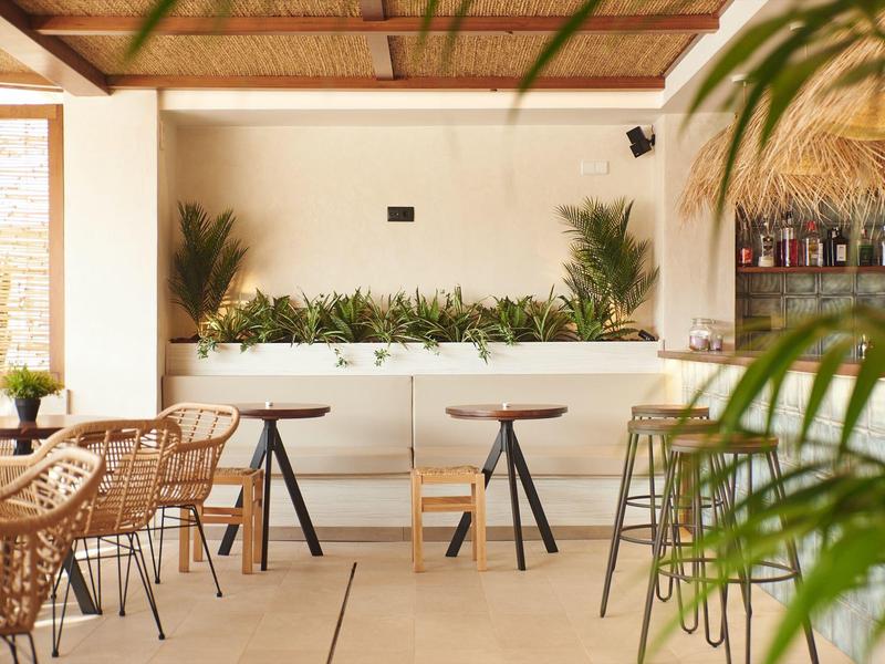 Area hotel moderna con bar, sedie in legno e piante verdi in un ambiente luminoso.