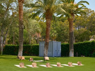 Goed onderhouden groene tuin met ligstoelen en palmbomen voor een groene haag.