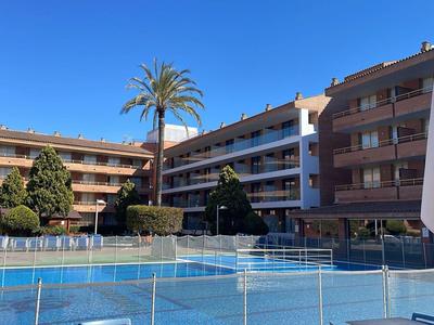 Cortile soleggiato dell'hotel con piscina, palma e balconi su più piani sotto un cielo azzurro chiaro.