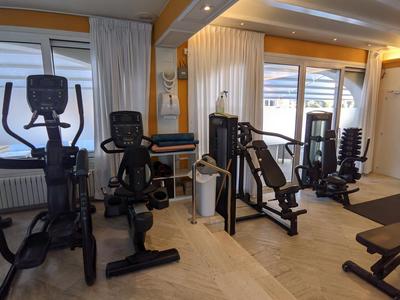 Modernes Fitnessstudio mit verschiedenen Trainingsgeräten und großen Fenstern mit Blick nach draußen.