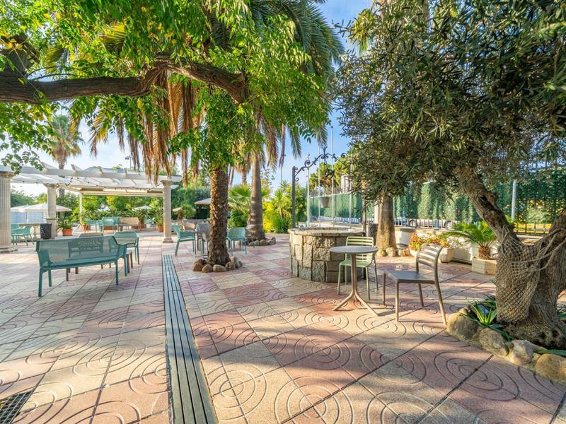 Sunny hotel terrace with tables, chairs, and plants under palm trees.