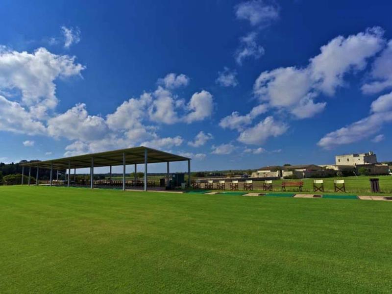 Großes, grünes Sportfeld mit Überdachung, Bäumen im Hintergrund und blauem Himmel mit Wolken.