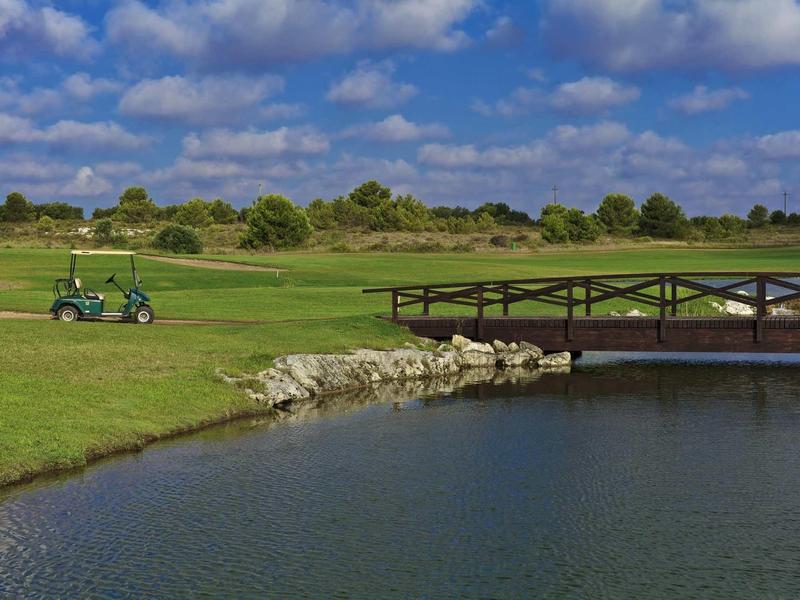 Grüner Golfplatz mit blauem Himmel, Golfer im Wagen und Holzbrücke über Teich.