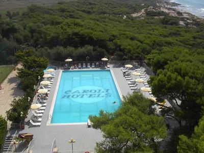 Großer rechteckiger Pool mit Sonnenliegen, umgeben von dichtem grünen Wald nahe Küste.