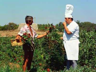 Ein Koch und ein Gärtner unterhalten sich im Gemüsegarten, während der Gärtner frische Pflanzen hält.