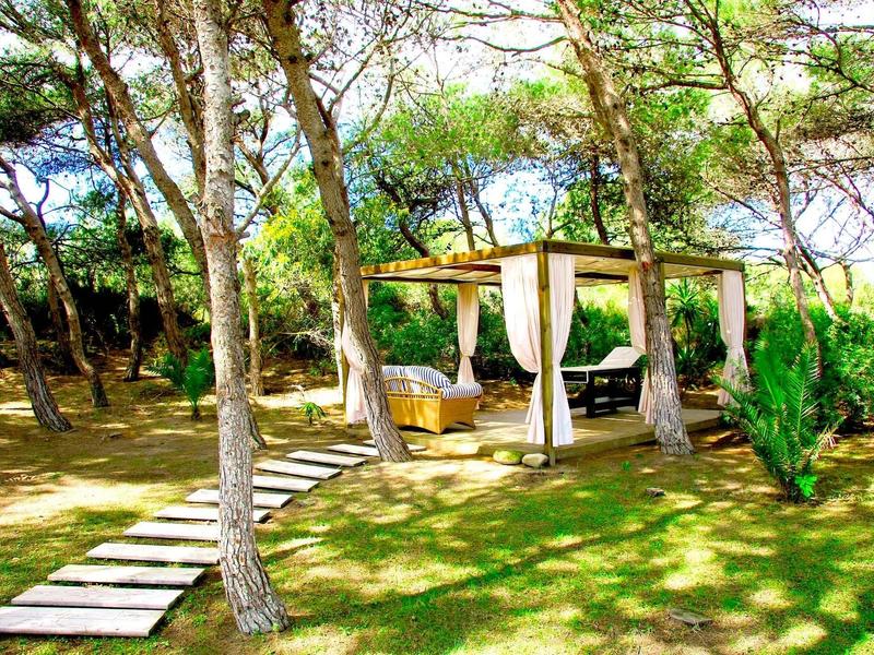 Grüner Garten mit Holzbett und Vorhängen zwischen hohen, schlanken Bäumen im Sonnenschein.