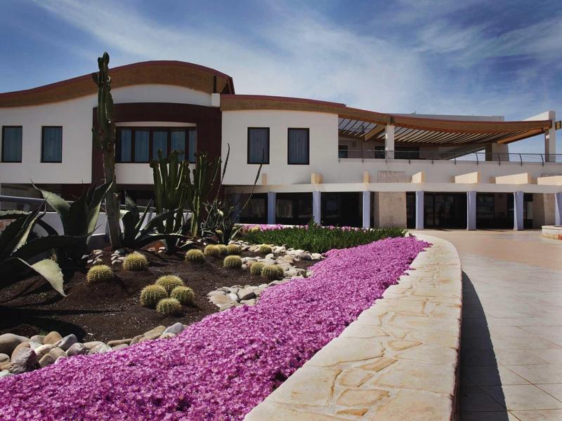 Modern hotel with cacti and a long flower bed filled with purple blossoms in front of the building.