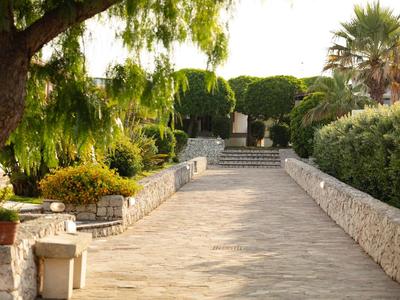 Breiter, sonniger Gartenweg mit Steinmauern, Büschen und großen Bäumen an Seiten.