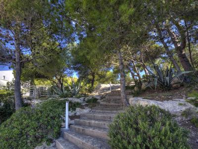 Stein-Treppe führt durch schattigen, grünen Wald mit dichtem Laub und blauem Himmel im Hintergrund.