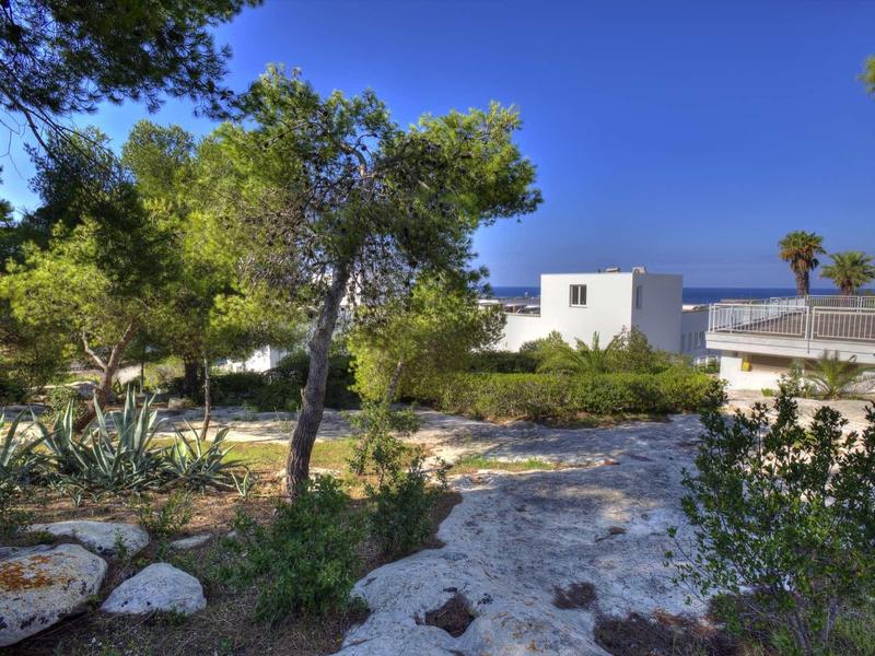 Ein weißes Haus mit Flachdach steht hinter Bäumen und Pflanzen unter blauem Himmel.