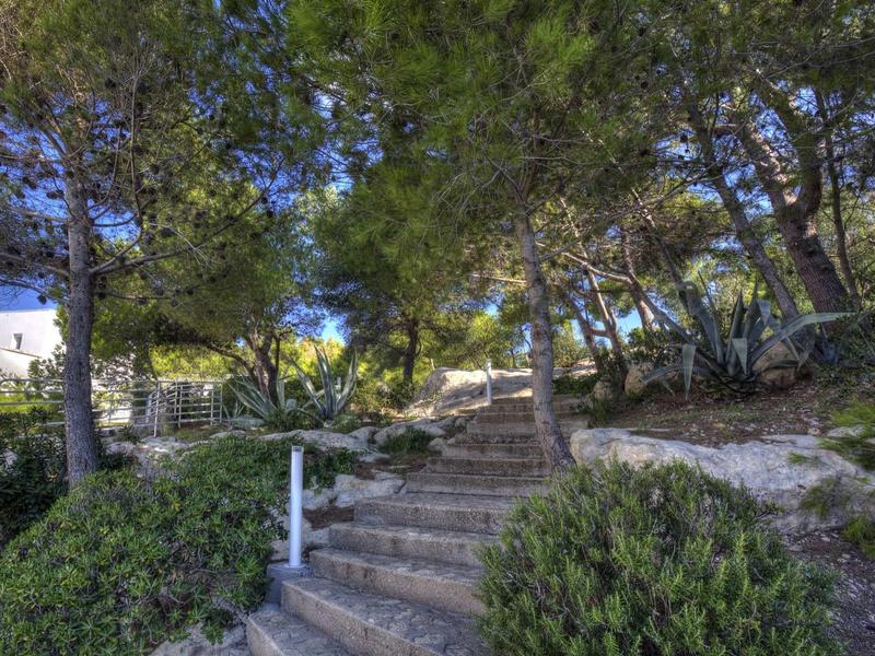 Stein-Treppe führt durch schattigen, grünen Wald mit dichtem Laub und blauem Himmel im Hintergrund.