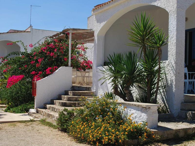 Weißes Haus mit Treppe, grünen Palmen und rosa blühenden Sträuchern bei sonnigem Himmel.