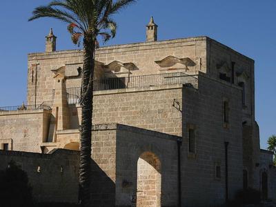 Edificio histórico de piedra con pequeña entrada y palmera al frente bajo el sol.