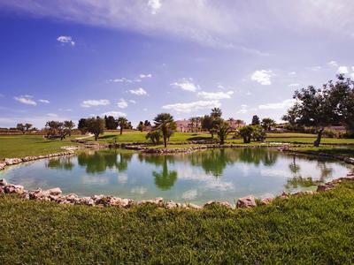 Kleiner Teich mit Ufer aus Steinen, umgeben von grüner Wiese und Bäumen unter blauem Himmel.
