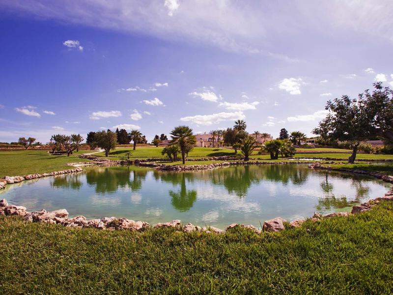 Kleiner Teich mit Ufer aus Steinen, umgeben von grüner Wiese und Bäumen unter blauem Himmel.
