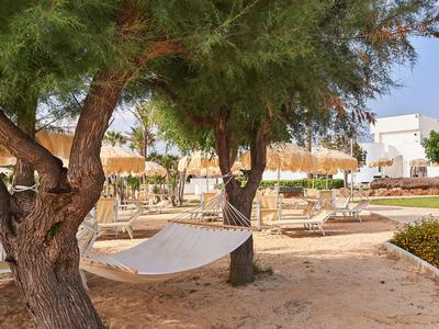 Hängematte zwischen Bäumen in einer sonnigen Hotelanlage mit Schirmen und Liegestühlen.