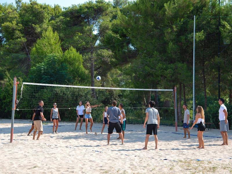 Gruppe von Menschen spielt Volleyball auf Sandplatz im Freien mit Bäumen im Hintergrund.