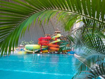 Wasserrutschen und Schwimmbecken hinter Palmenblättern in einem tropischen Resort.