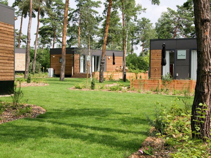 Modern wooden cabins in a green, wooded holiday park on a sunny day.