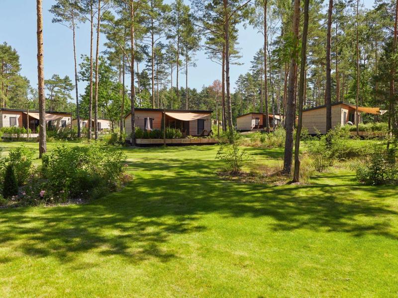 Holiday homes in a wooded area with green lawn and clear landscape.