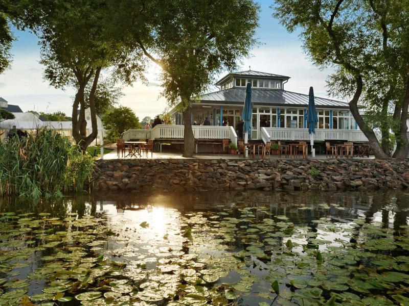 Hotel with terrace by the lakeside, surrounded by trees and water lilies.