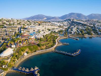 Luchtfoto van een kustplaats met hotels, aanlegsteigers en bergen op de achtergrond