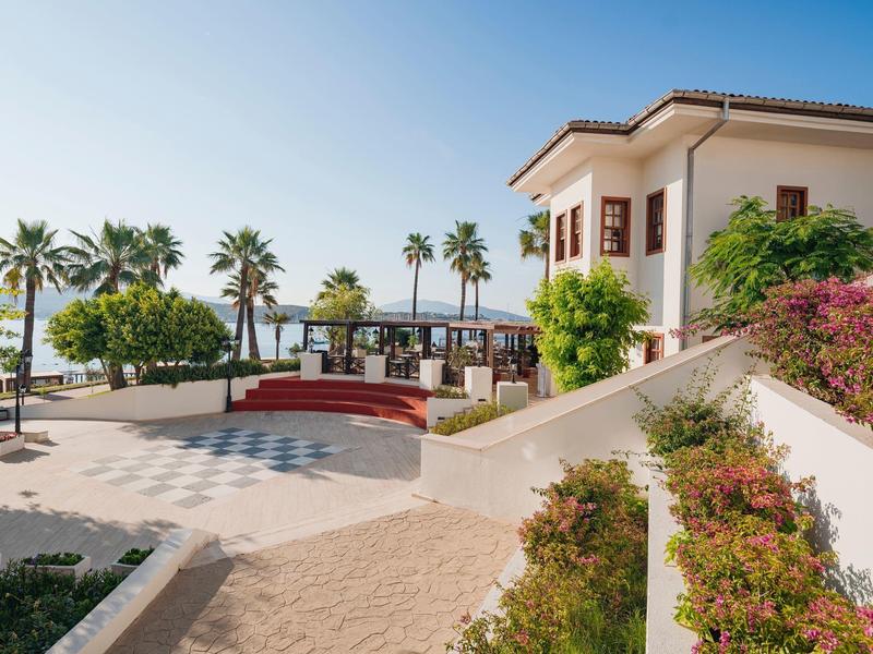 Een zonnig buitenterrein van een hotel met palmbomen, bankjes en uitzicht op zee.