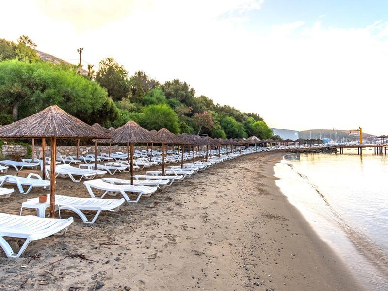 Empty lounge chairs and straw umbrellas on sandy beach beside calm water at sunrise.
