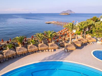 Basen hotelowy z widokiem na morze, otoczony palmami i parasolami słonecznymi.