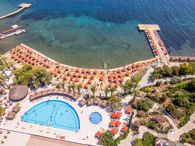 Widok z lotu ptaka na plażę z basenem, parasolami i pomostem wychodzącym na morze.