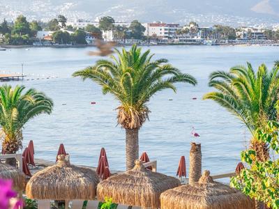 Widok na promenadę plażową z palmami, strzechami i górami w tle.