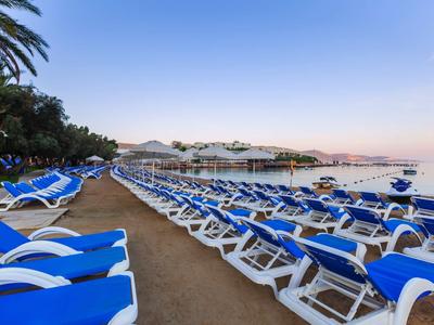 De nombreuses chaises longues bleues sur une plage de sable avec des palmiers et vue sur la mer calme au coucher du soleil.