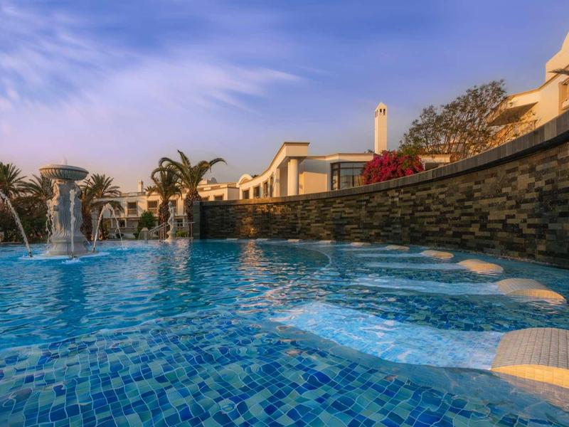 A luxurious outdoor pool with built-in seating and palm trees in the sunset light.