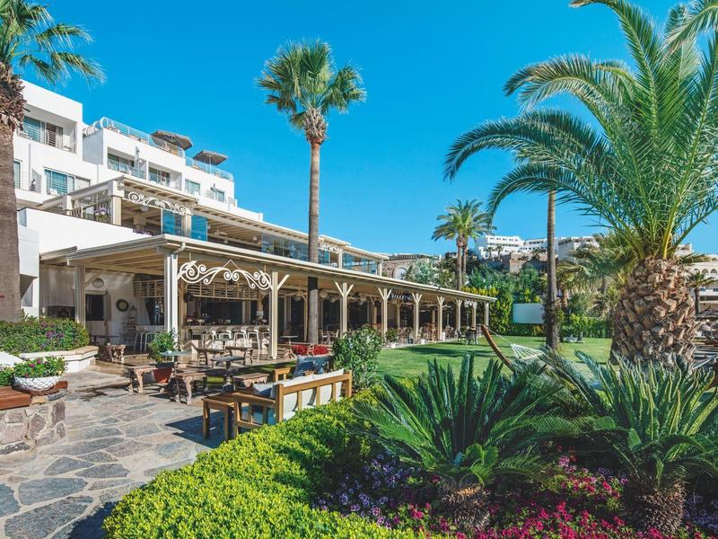 Terraza de hotel con mesas, sillas y jardín tropical bajo cielo despejado.