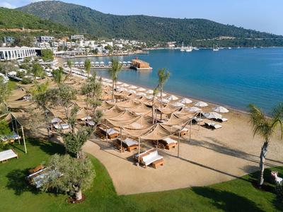Strand met ligstoelen, palmbomen en een kustplaats bij beboste heuvels.